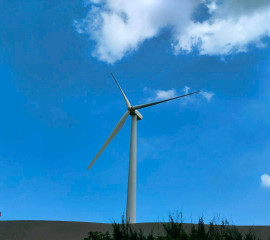 【桃園觀音天然氣接收站海域淨灘 】​